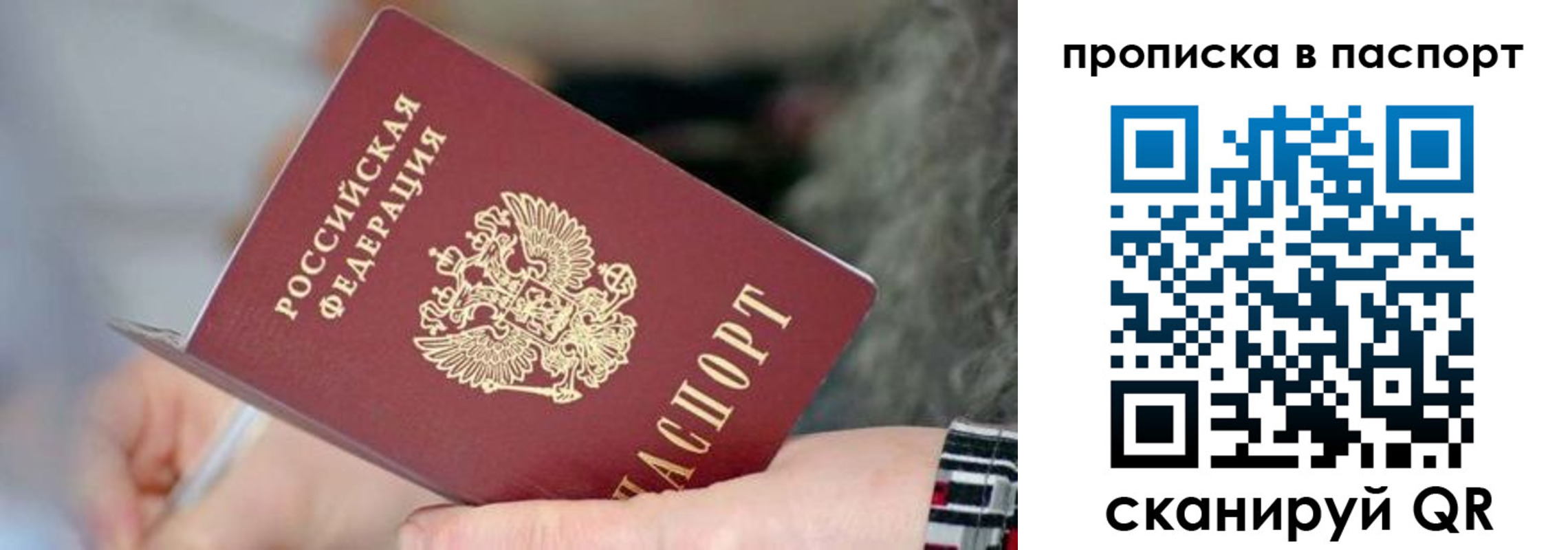 временная регистрация поиск в Благовещенске